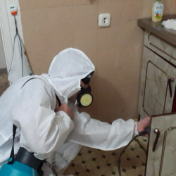 Дезинфекция от муравьев в квартире в Вербилках